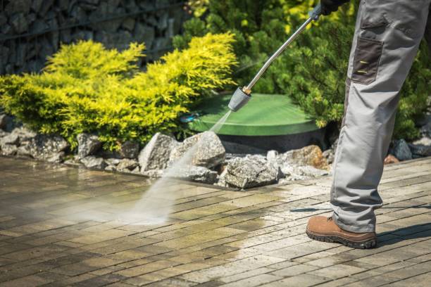Best Animal Enclosure Cleaning  in Vineland, NJ