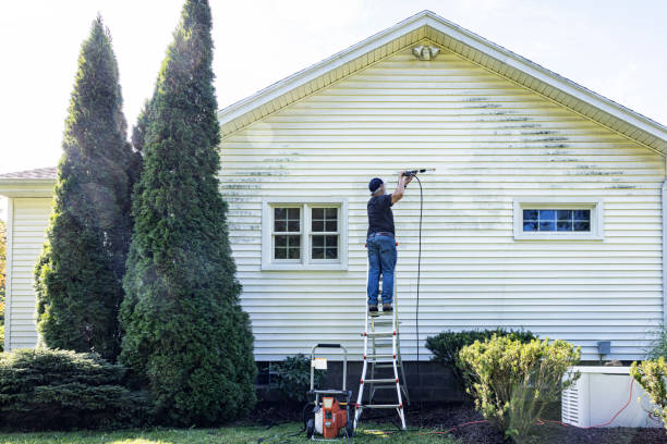 Best Patio and Deck Pressure Washing  in Vineland, NJ